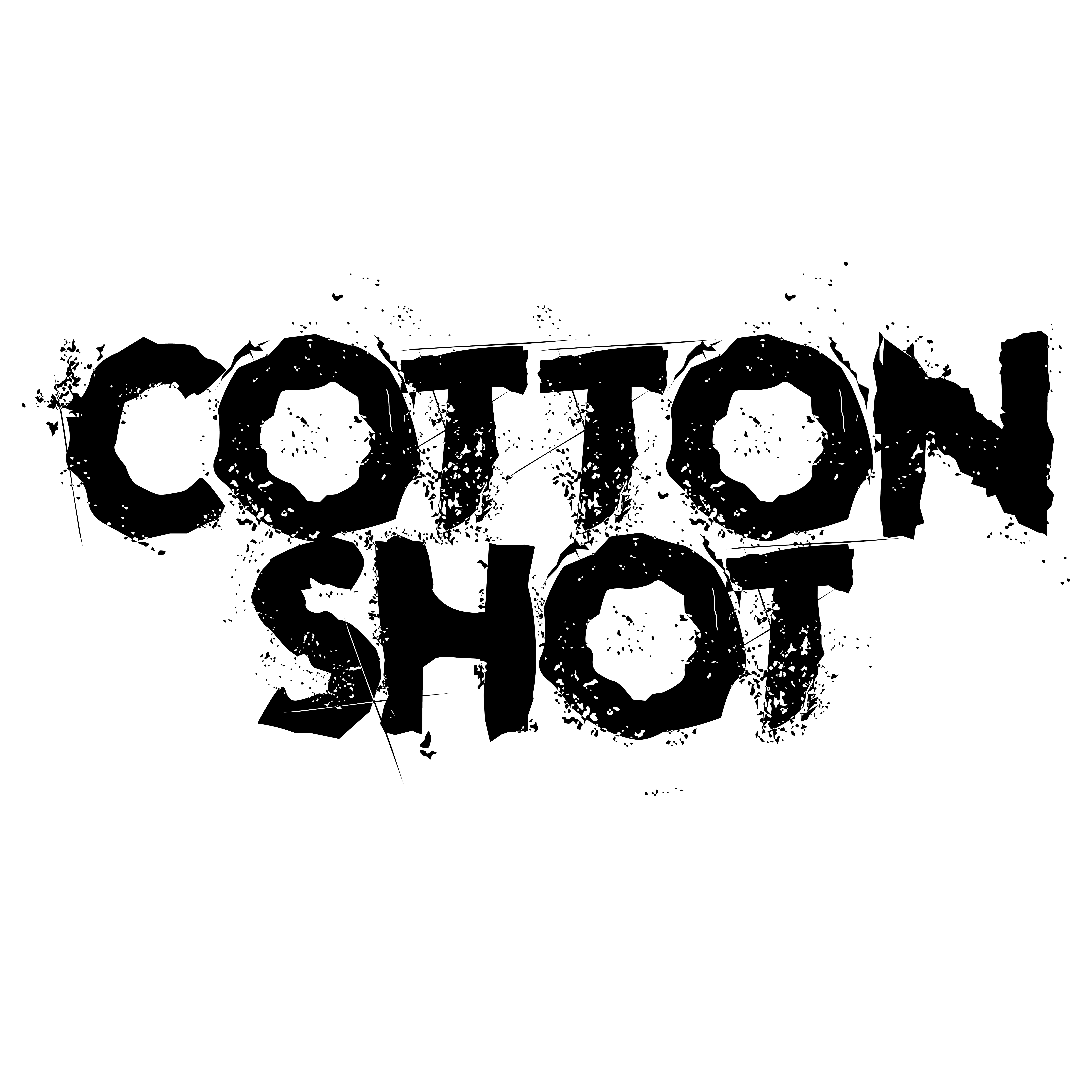 lp-06